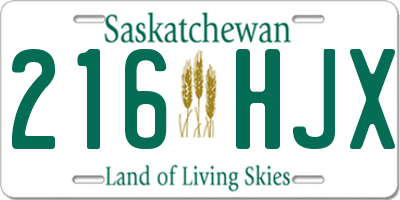 SK license plate 216HJX