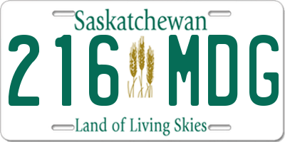 SK license plate 216MDG