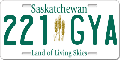SK license plate 221GYA