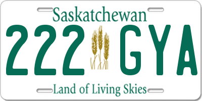 SK license plate 222GYA