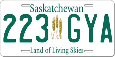 SK license plate 223GYA