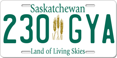 SK license plate 230GYA