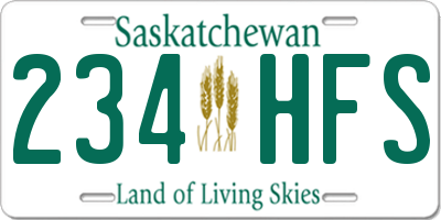 SK license plate 234HFS