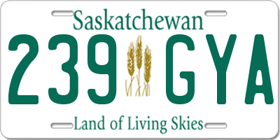 SK license plate 239GYA