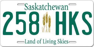 SK license plate 258HKS