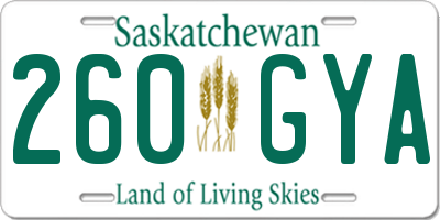 SK license plate 260GYA