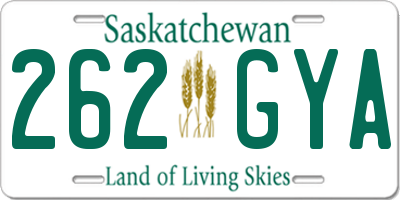 SK license plate 262GYA