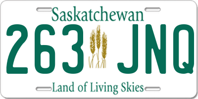 SK license plate 263JNQ