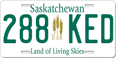 SK license plate 288KED