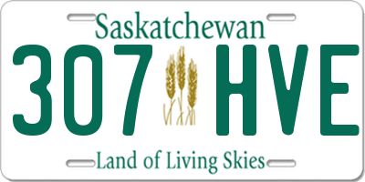 SK license plate 307HVE