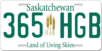 SK license plate 365HGB