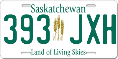SK license plate 393JXH