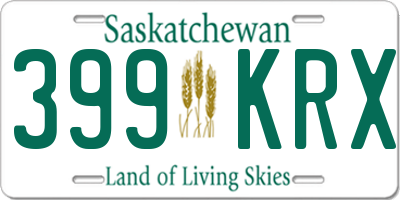 SK license plate 399KRX