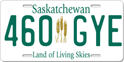 SK license plate 460GYE