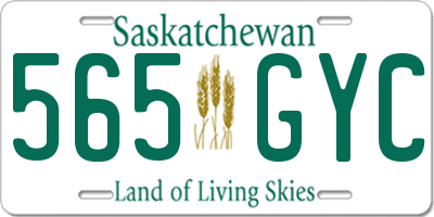 SK license plate 565GYC