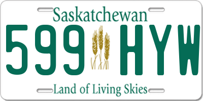 SK license plate 599HYW