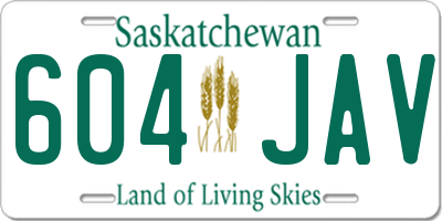 SK license plate 604JAV