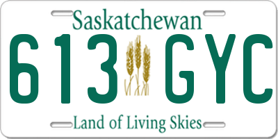 SK license plate 613GYC