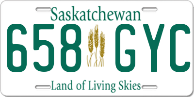 SK license plate 658GYC