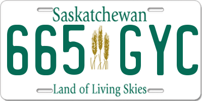 SK license plate 665GYC