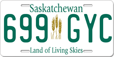 SK license plate 699GYC