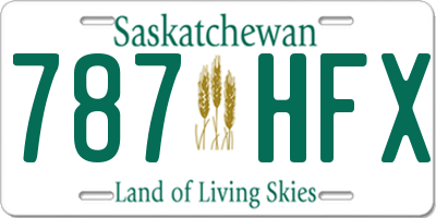 SK license plate 787HFX