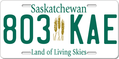 SK license plate 803KAE
