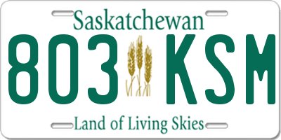 SK license plate 803KSM
