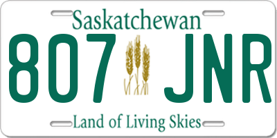 SK license plate 807JNR