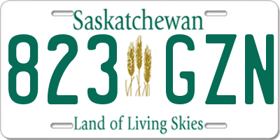 SK license plate 823GZN
