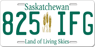 SK license plate 825IFG