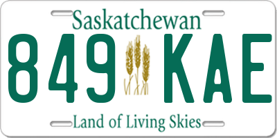 SK license plate 849KAE