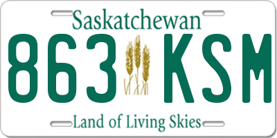 SK license plate 863KSM