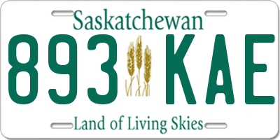 SK license plate 893KAE