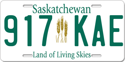 SK license plate 917KAE