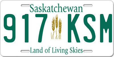 SK license plate 917KSM