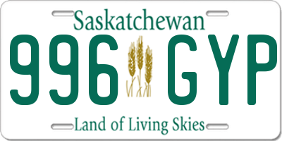 SK license plate 996GYP