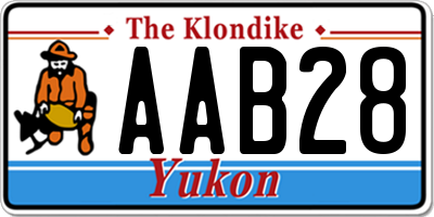 YT license plate AAB28