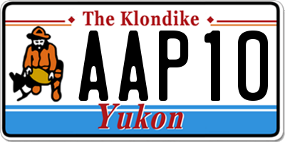 YT license plate AAP10