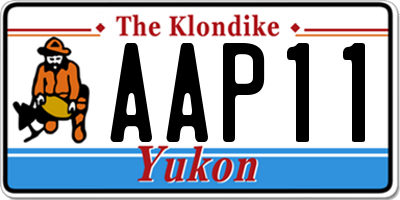 YT license plate AAP11