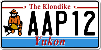 YT license plate AAP12