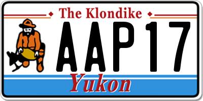 YT license plate AAP17