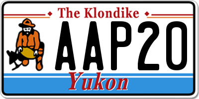 YT license plate AAP20