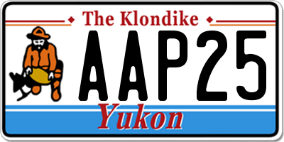 YT license plate AAP25