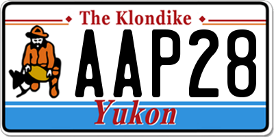 YT license plate AAP28