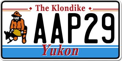 YT license plate AAP29