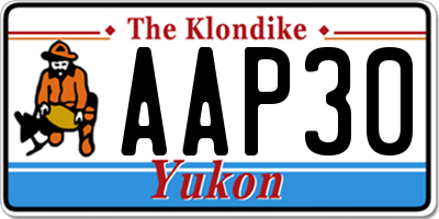 YT license plate AAP30