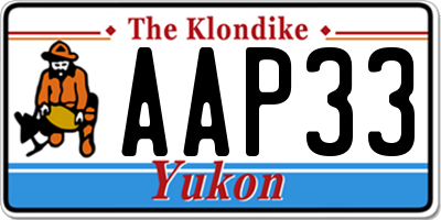 YT license plate AAP33