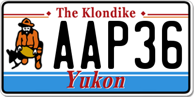 YT license plate AAP36