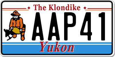 YT license plate AAP41